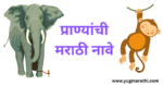 animals-names-english-to-marathi